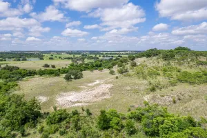Hamilton, TX 76531