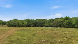 Collinsville, TX 76233