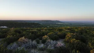 Abilene, TX 79602