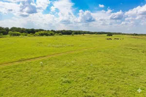 Harrold, TX 76364