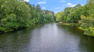 Winnsboro, TX 75494