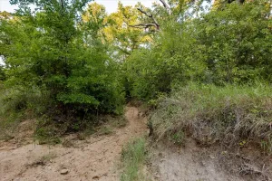 Carbon, TX 76435