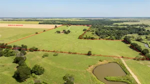 Pilot Point, TX 76258