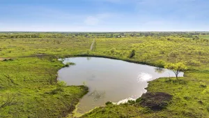 Maypearl, TX 76064