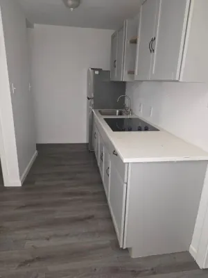 Dallas, TX 75228