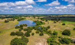 Hamilton, TX 76531