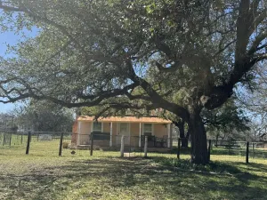 Mingus, TX 76463