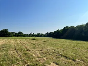 Rowlett, TX 75088