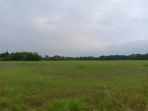 Lancaster, TX 75134