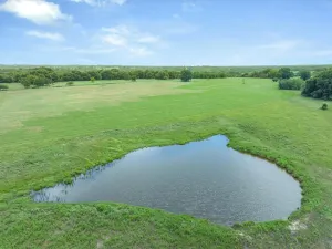 Edgewood, TX 75117
