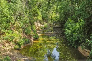 Flower Mound, TX 75028