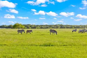 Wallis, TX 77485