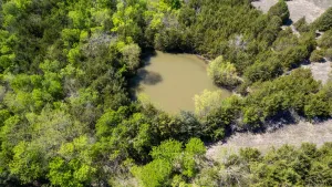 Blue Ridge, TX 75424