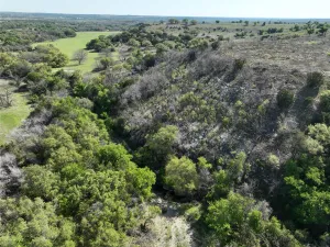 Bluff Dale, TX 76433