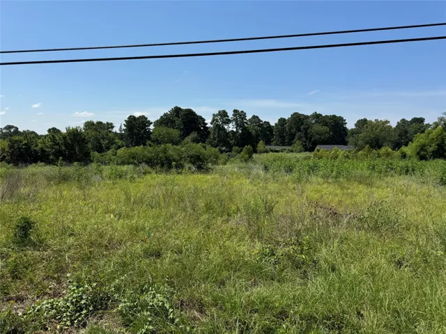 Palestine, TX 75801