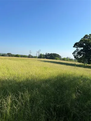 Tyler, TX 75706