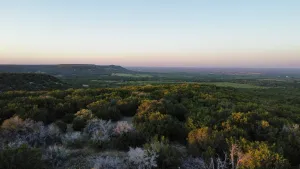 Abilene, TX 79602