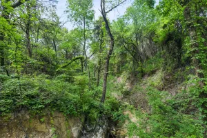 Cedar Hill, TX 75104