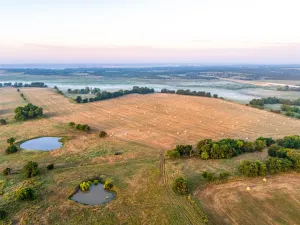 Honey Grove, TX 75446