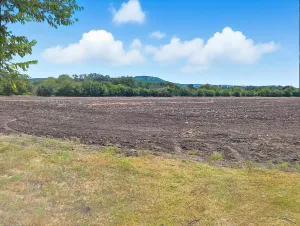 Jonesboro, TX 76538