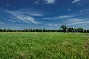 Henrietta, TX 76230