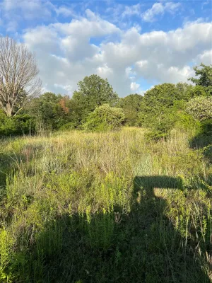 Decatur, TX 76234