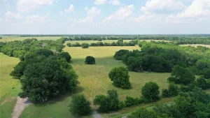Whitewright, TX 75491