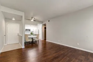 Plano, TX 75075