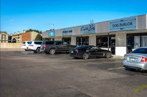 Amarillo, TX 79109