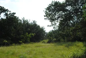 Comanche, TX 76442