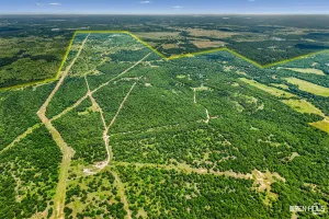 Bowie, TX 76230