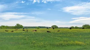 Granbury, TX 76049