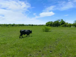 Mansfield, TX 76084