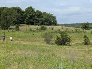 Bowie, TX 76230