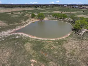 Dublin, TX 76446