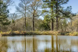 Gladewater, TX 75647