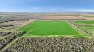Gunter, TX 75058
