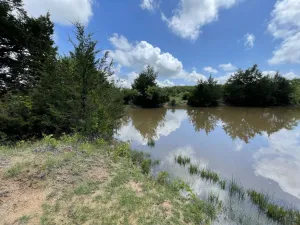 Chico, TX 76431