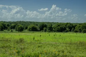 Henrietta, TX 76230