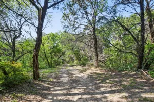 Cedar Hill, TX 75104