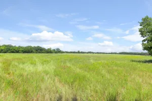 Whitesboro, TX 76273