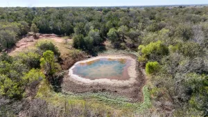 Gonzales, TX 78632