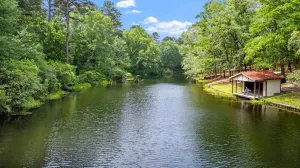 Winnsboro, TX 75494