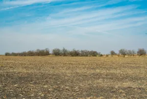 Coupland, TX 78615