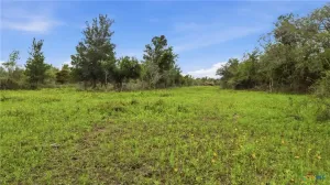 Hallettsville, TX 77964
