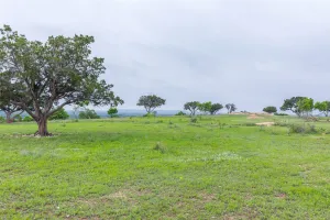 Ovalo, TX 79541