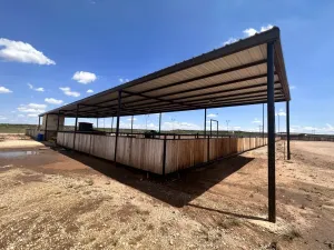 Bronte, TX 76933