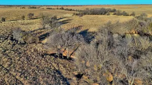 Petrolia, TX 76377