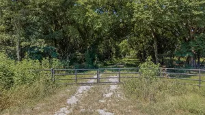 Denison, TX 75021