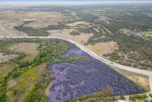 Flower Mound, TX 75022